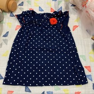 Carter’s rose blue dress 24m